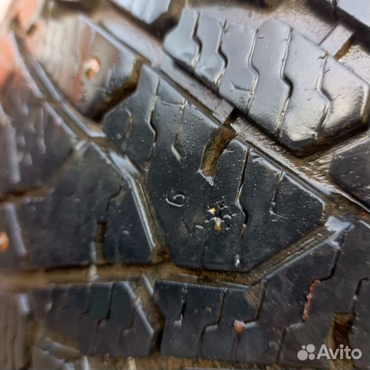 Nokian Tyres Hakkapeliitta C3 225/75 R16C