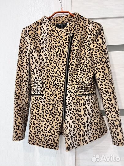 Леопардовый (М)