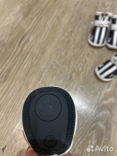 Обувь для собак мелких пород