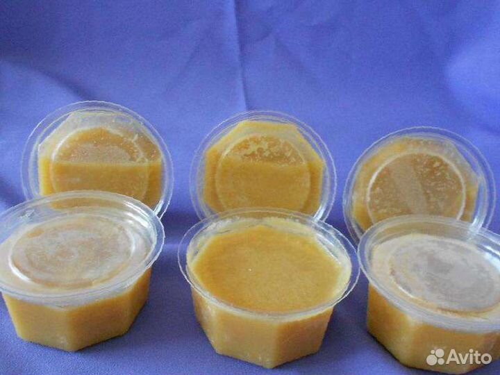 Трутневый гомогенат