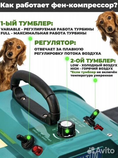 Фен компрессор 3800 ватт для сушки собак и кошек