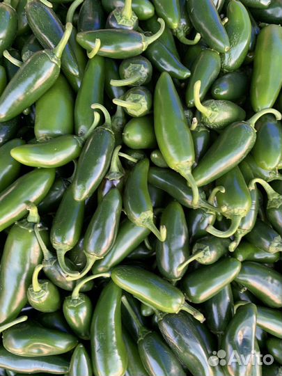 Перец халапеньо органика свежий из Ростова