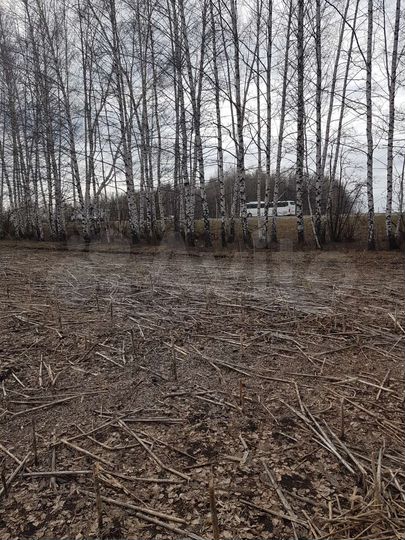 Участок 8 га (СНТ, ДНП)