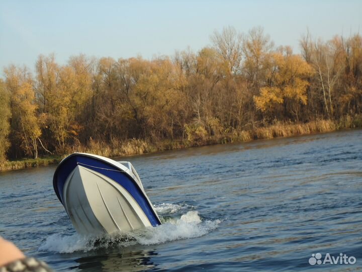 Моторная лодка Афалина-460