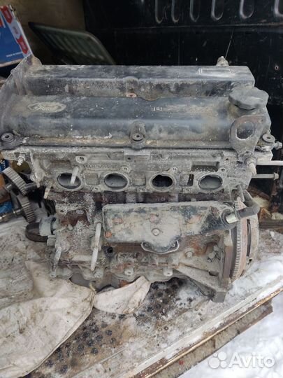 Двигатель форд 1.8 eydc zetec