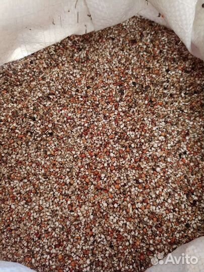 Корма пшеница отсев сечка просо от 10-45кг мешки