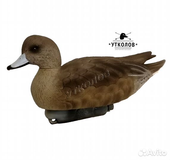 Чучело утки разборное 