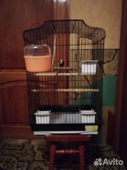 Клетка для попугая