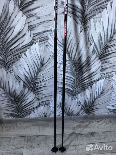 Лыжные палки