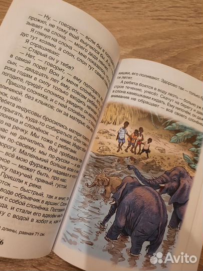 Новая книга - Житков - рассказы