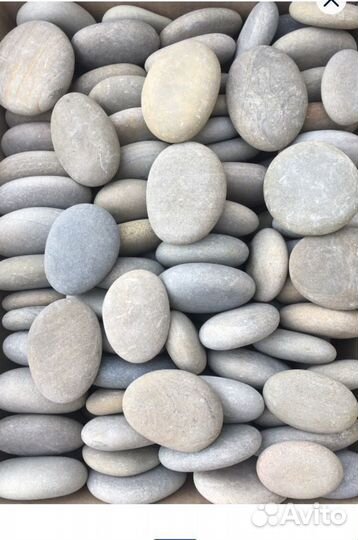 Камни для творчества, рапан, галька морская