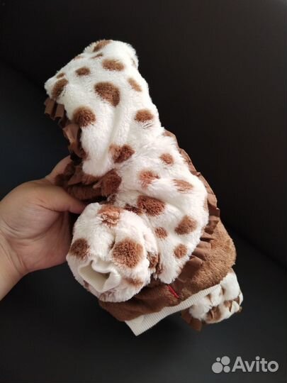 Одежда на маленькую собаку