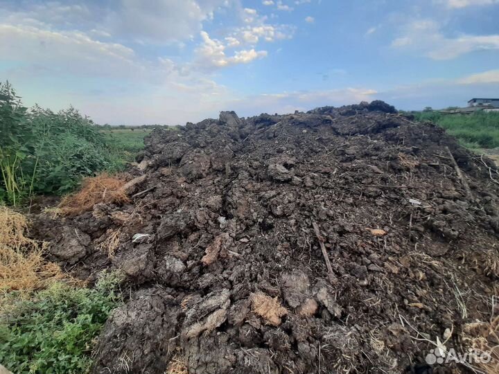 Навоз перегной бесплатно