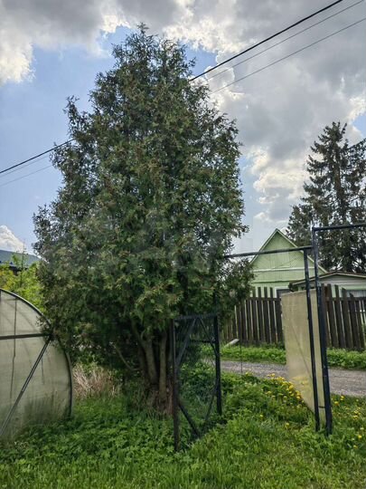 Участок 12,2 сот. (СНТ, ДНП)