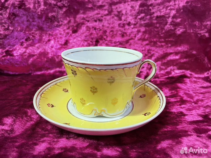 Чайная пара вербилки