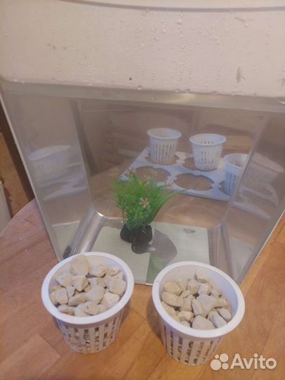 Аквариум пластиковый на 10 литров