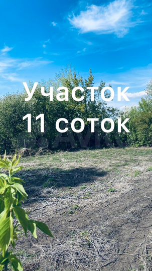Участок 11 сот. (СНТ, ДНП)