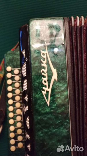 Гармонь шуйская чайка 314 Теза