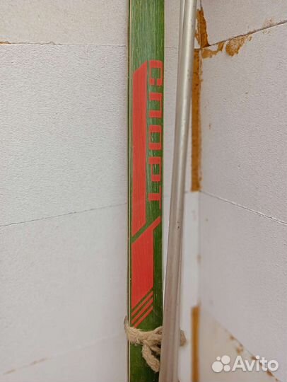 Беговые лыжи