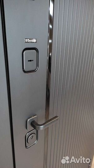 Дверь входная с зеркалом