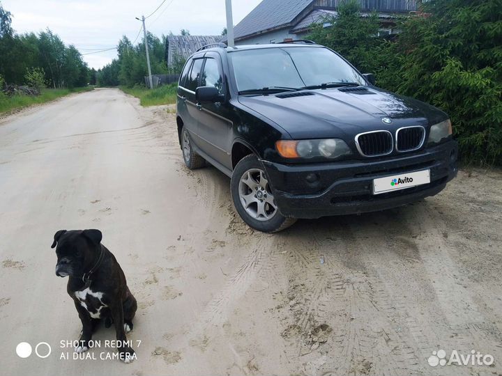 BMW X5 2.9 AT, 2003, 490 000 км