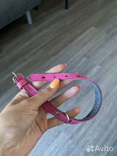 Ошейник для собак