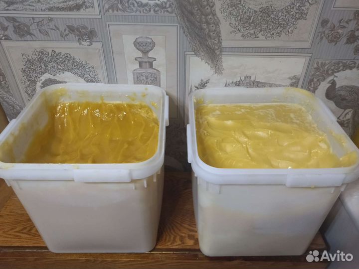 Мед подсолнечниковый