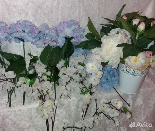 Цветы для интерьера