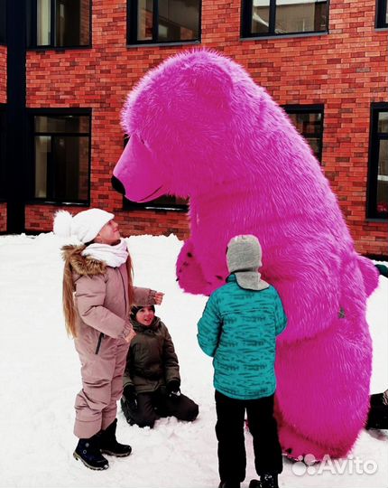 Поздравление/аниматоры/ростовые куклы