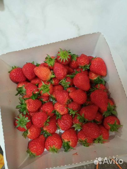 Меренговый рулет