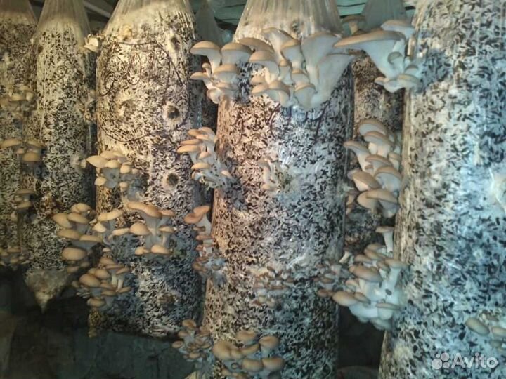 Вкусные круглый год