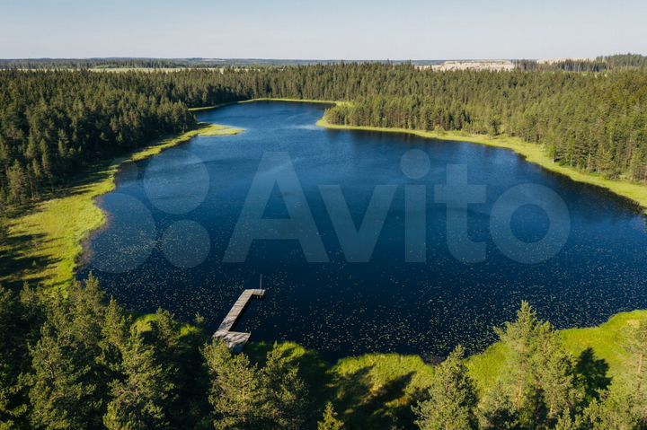 Участок 10,2 сот. (СНТ, ДНП)