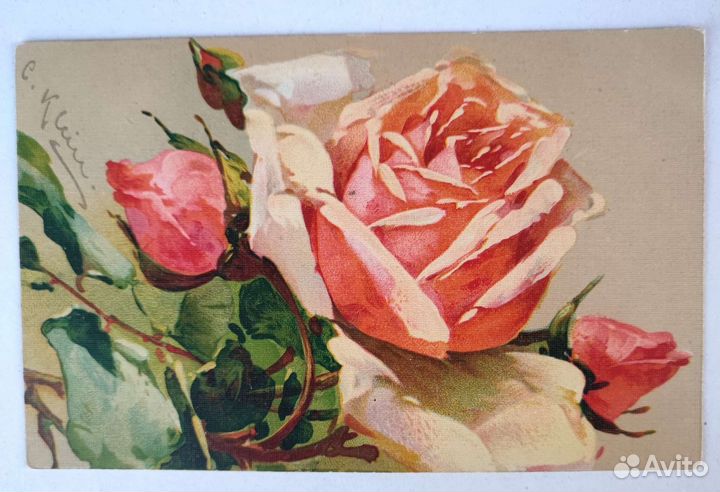 Старинные открытки Катарина Кляйн