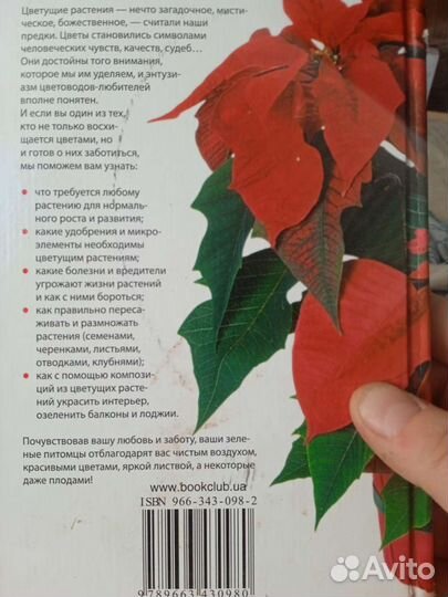 Энциклопедия комнатного цветоводства