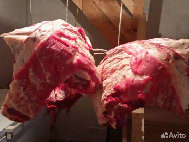 Мясо говядина домашняя ребра Бураевский район