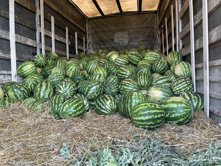 Арбузы с доставкой