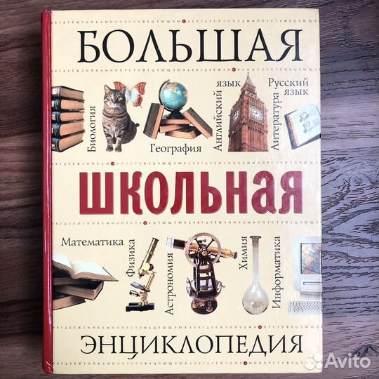 Школьная энциклопедия, Толковый словарь