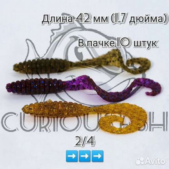 Curious Fish Curly grub 1.7 дюйма (4,2 см)
