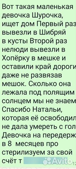 Щенки в добрые руки