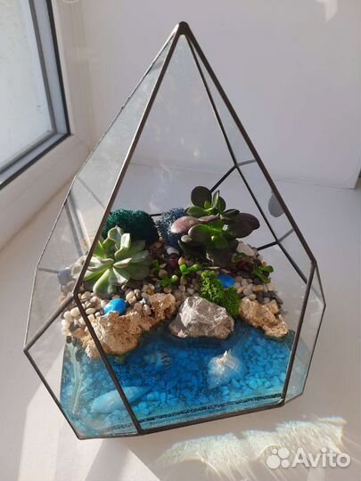 Флорариум с суккулентов в геометрии