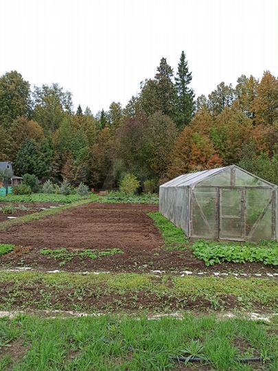 Дача 50 м² на участке 20 сот.