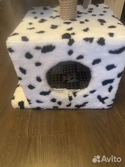 Когтеточка