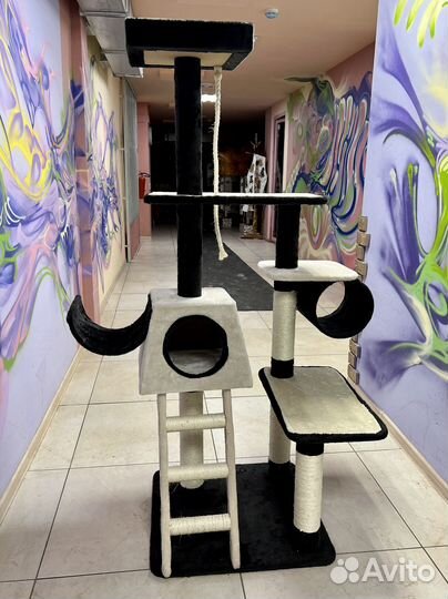 Домик для кошки новый с когтеточками