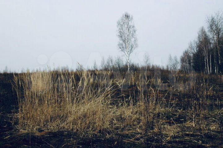 Участок 3192 га (СНТ, ДНП)