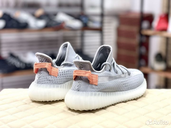 Кроссовки мужские летние Adidas Yeezy Boost 350