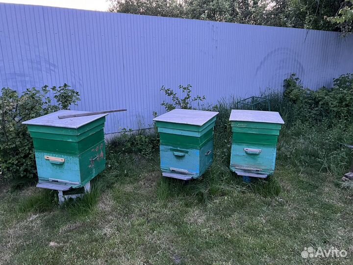 Пчелы и улья