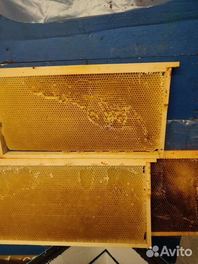 Рамки с сушью