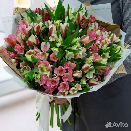 Альстромерия Альстромерии