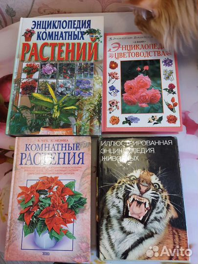 Энциклопедии