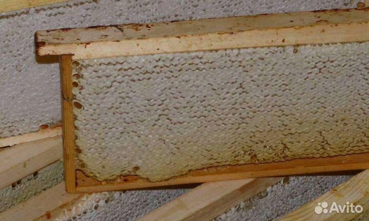 Соты с медом, мед сотовый